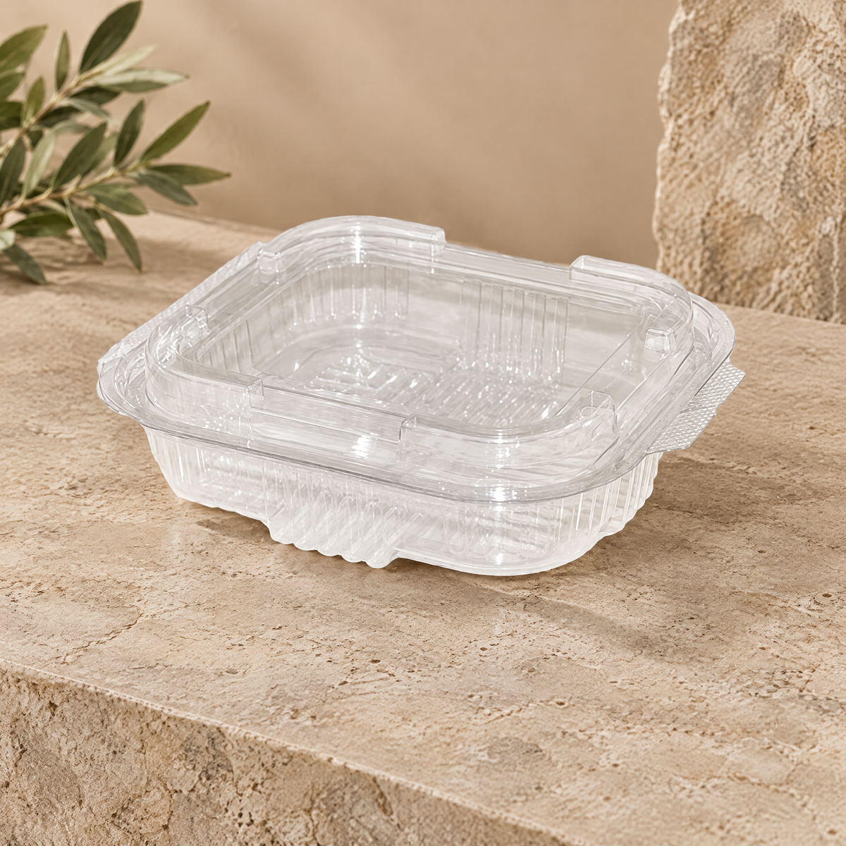 Saladebakken met vaste deksel 250cc - (6x100) 600 stuks
